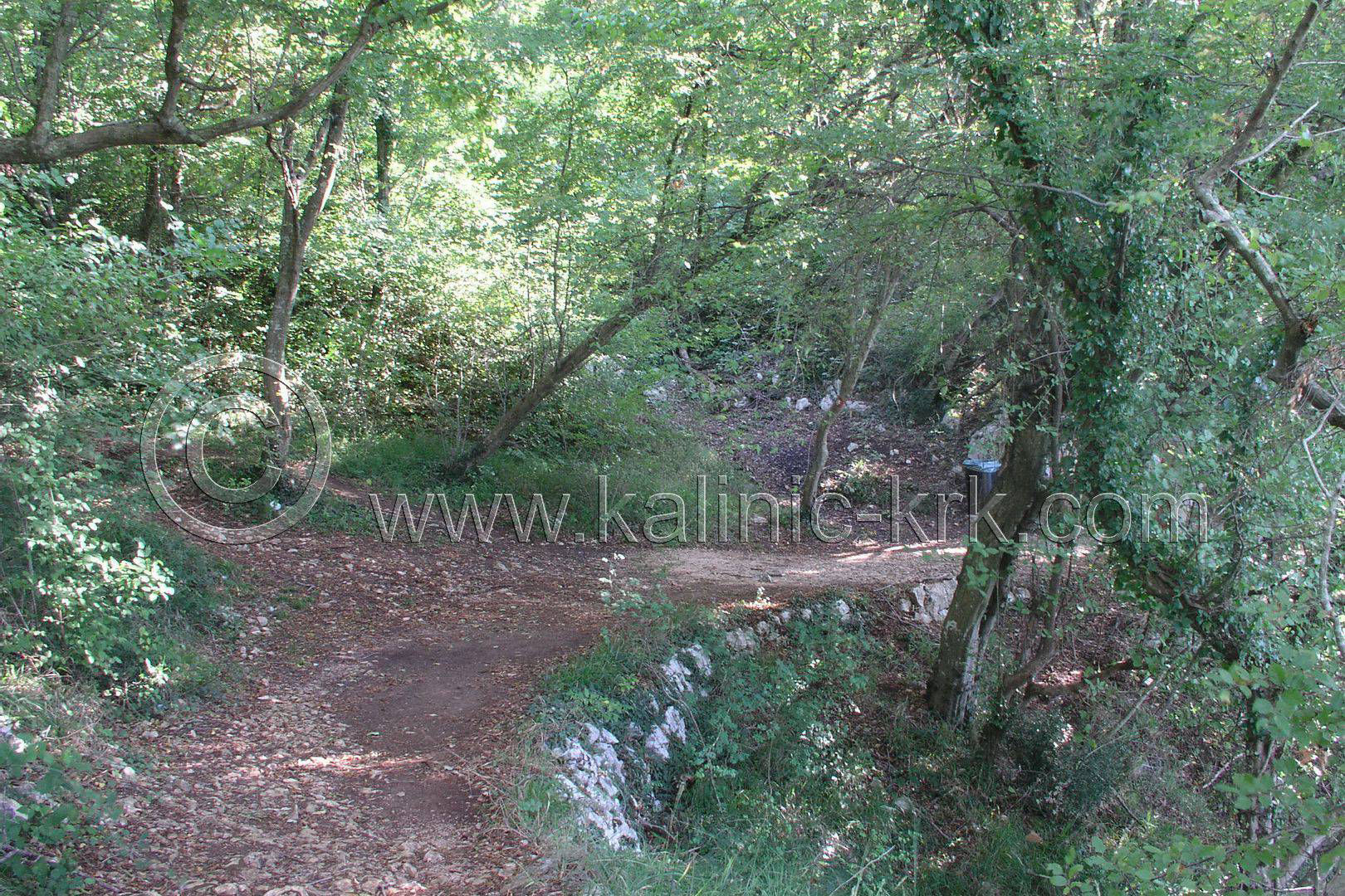 Apartments Villa Kalinić