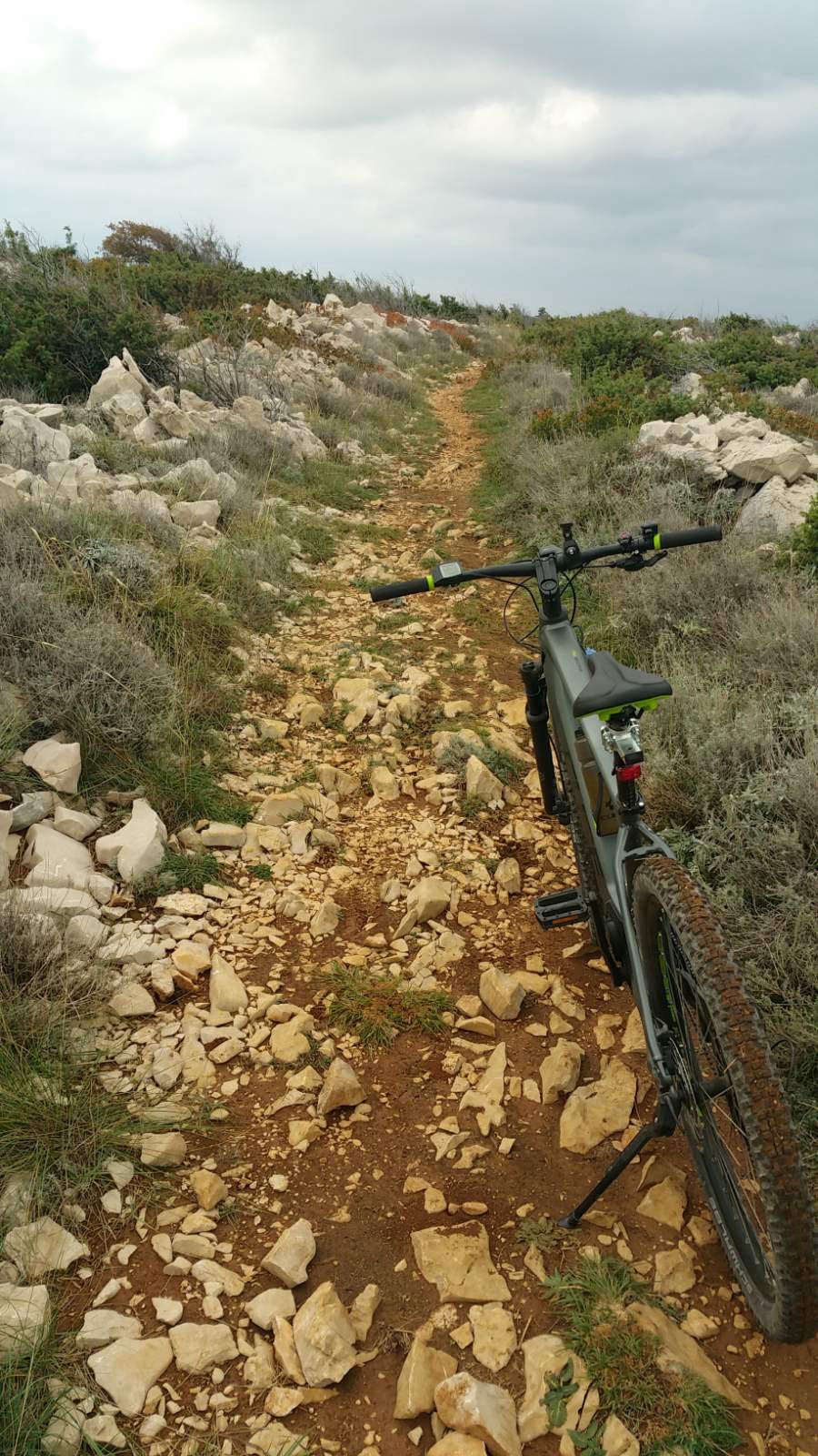 Apartments Villa Kalinić